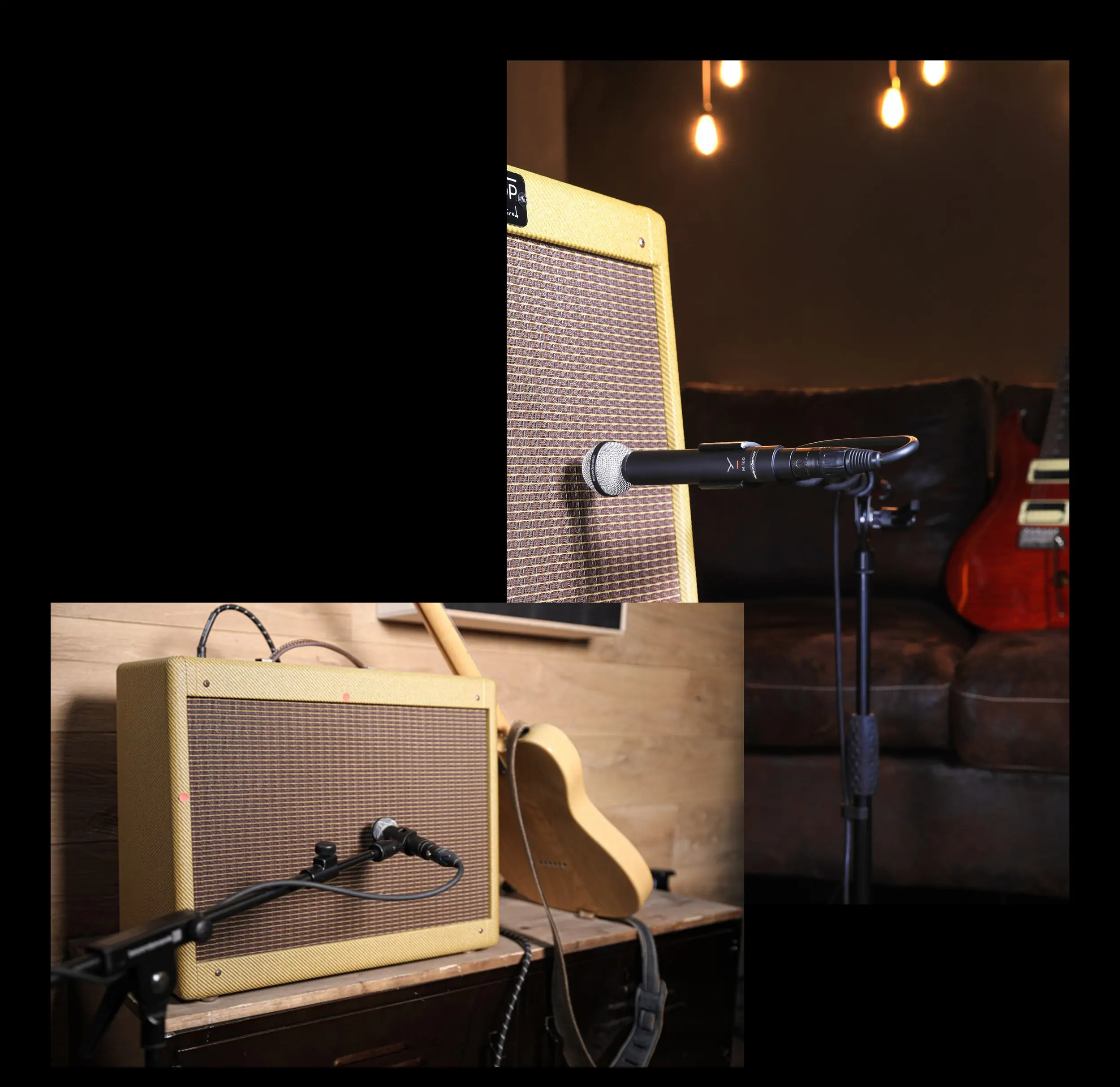 M 160: Dynamic double-ribbon microphone (hypercardioid M 160: Dynamic double-ribbon microphone (hypercardioid